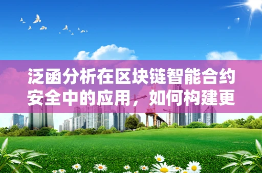 泛函分析在区块链智能合约安全中的应用，如何构建更强大的安全保障？