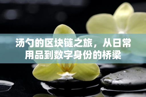 汤勺的区块链之旅，从日常用品到数字身份的桥梁