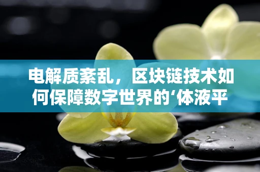 电解质紊乱，区块链技术如何保障数字世界的‘体液平衡’？