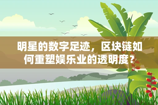 明星的数字足迹，区块链如何重塑娱乐业的透明度？