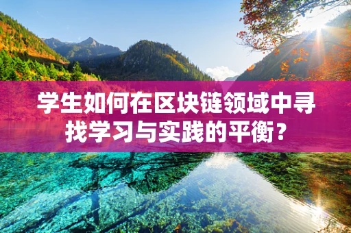 学生如何在区块链领域中寻找学习与实践的平衡？
