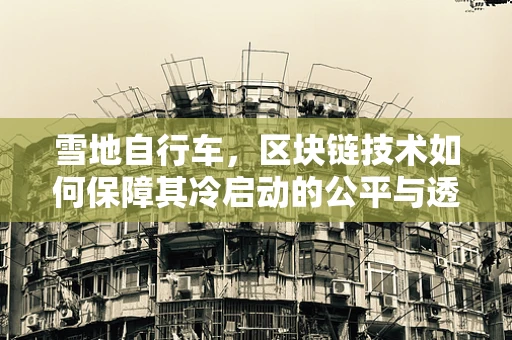 雪地自行车，区块链技术如何保障其冷启动的公平与透明？
