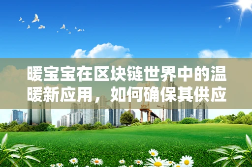 暖宝宝在区块链世界中的温暖新应用，如何确保其供应链的透明与安全？
