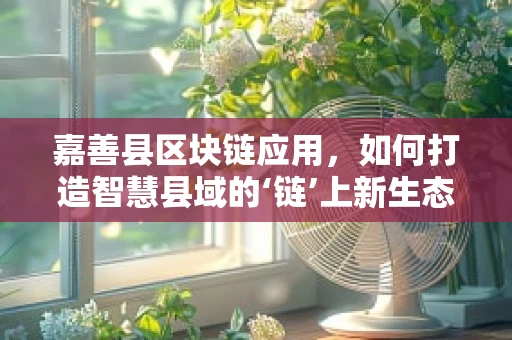 嘉善县区块链应用，如何打造智慧县域的‘链’上新生态？