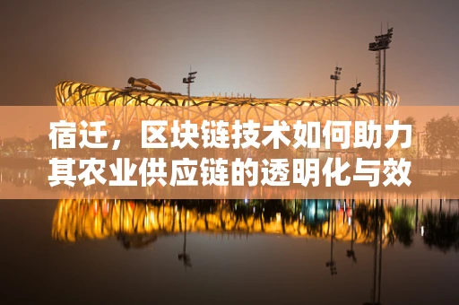 宿迁，区块链技术如何助力其农业供应链的透明化与效率提升？