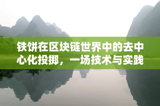 铁饼在区块链世界中的去中心化投掷，一场技术与实践的较量？