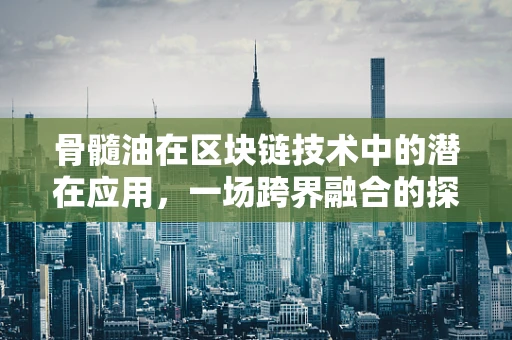 骨髓油在区块链技术中的潜在应用，一场跨界融合的探索？