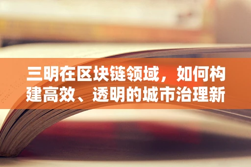 三明在区块链领域，如何构建高效、透明的城市治理新模式？
