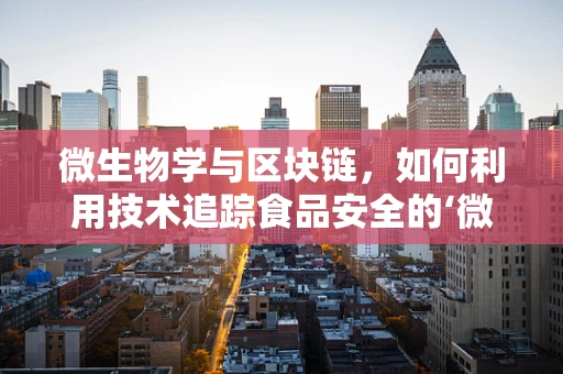 微生物学与区块链，如何利用技术追踪食品安全的‘微小’秘密？