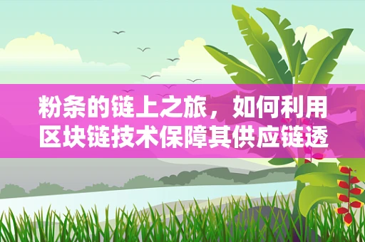 粉条的链上之旅，如何利用区块链技术保障其供应链透明与安全？