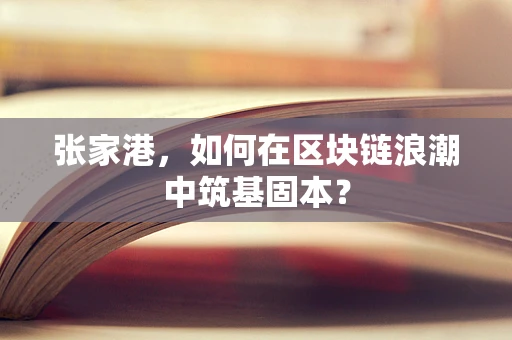 张家港，如何在区块链浪潮中筑基固本？