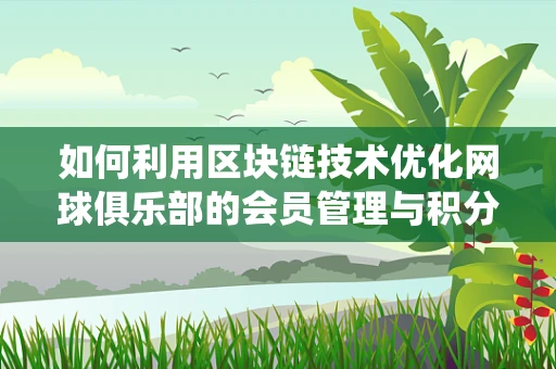 如何利用区块链技术优化网球俱乐部的会员管理与积分系统？