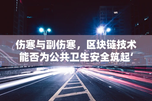 伤寒与副伤寒，区块链技术能否为公共卫生安全筑起‘数字防火墙’？