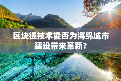 区块链技术能否为海绵城市建设带来革新？
