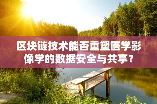 区块链技术能否重塑医学影像学的数据安全与共享？