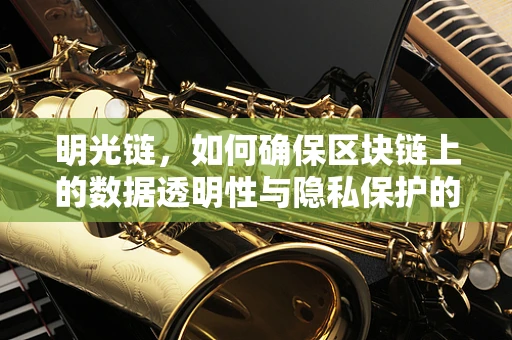 明光链，如何确保区块链上的数据透明性与隐私保护的平衡？