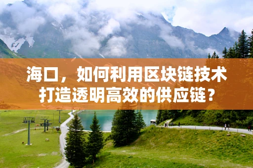 海口，如何利用区块链技术打造透明高效的供应链？
