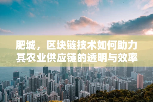 肥城，区块链技术如何助力其农业供应链的透明与效率提升？