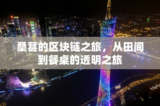 桑葚的区块链之旅，从田间到餐桌的透明之旅