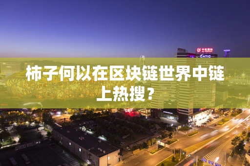 柿子何以在区块链世界中链上热搜？