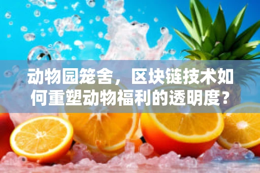 动物园笼舍，区块链技术如何重塑动物福利的透明度？