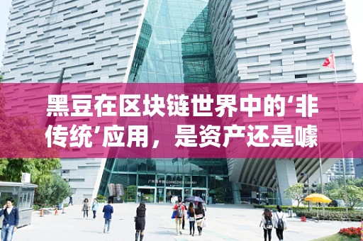 黑豆在区块链世界中的‘非传统’应用，是资产还是噱头？