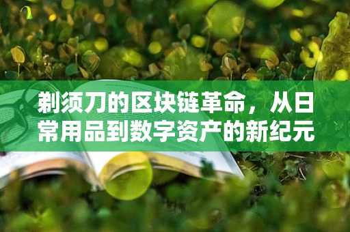 剃须刀的区块链革命，从日常用品到数字资产的新纪元？