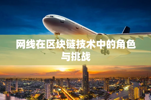 网线在区块链技术中的角色与挑战