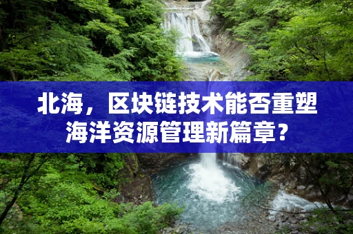 北海，区块链技术能否重塑海洋资源管理新篇章？