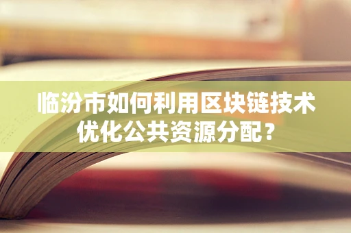 临汾市如何利用区块链技术优化公共资源分配？