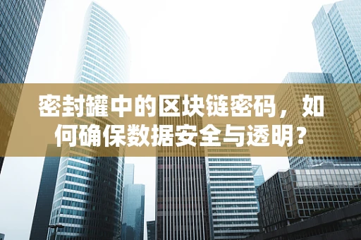 密封罐中的区块链密码，如何确保数据安全与透明？
