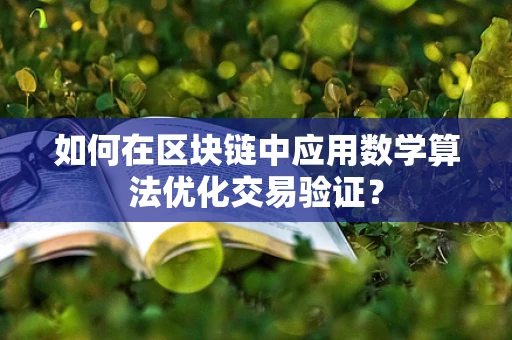 如何在区块链中应用数学算法优化交易验证？