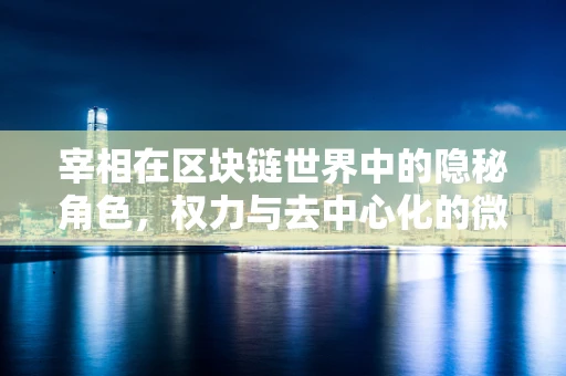 宰相在区块链世界中的隐秘角色，权力与去中心化的微妙平衡