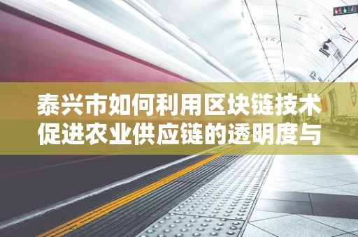 泰兴市如何利用区块链技术促进农业供应链的透明度与效率？