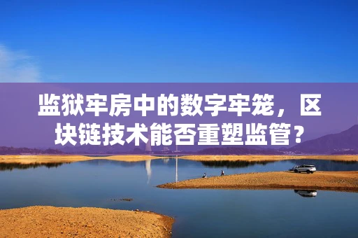 监狱牢房中的数字牢笼，区块链技术能否重塑监管？
