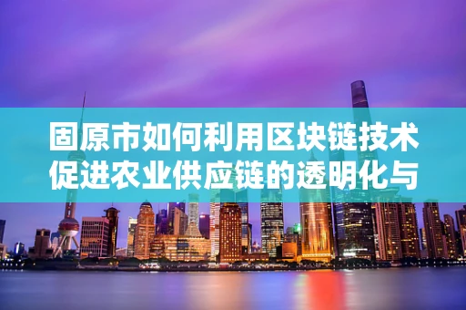 固原市如何利用区块链技术促进农业供应链的透明化与效率提升？