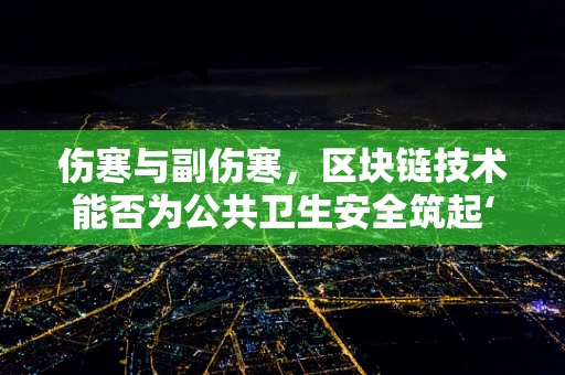 伤寒与副伤寒，区块链技术能否为公共卫生安全筑起‘数字防火墙’？