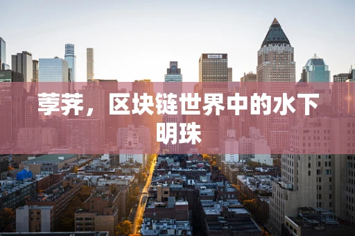 荸荠，区块链世界中的水下明珠