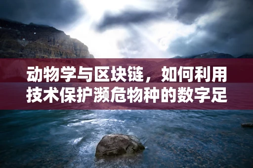 动物学与区块链，如何利用技术保护濒危物种的数字足迹？