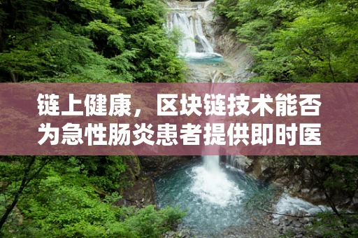 链上健康，区块链技术能否为急性肠炎患者提供即时医疗援助？