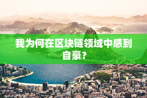 我为何在区块链领域中感到自豪？