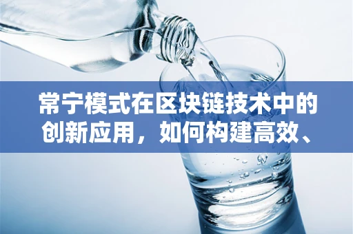 常宁模式在区块链技术中的创新应用，如何构建高效、透明的城市治理新生态？