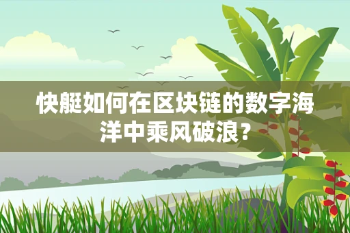 快艇如何在区块链的数字海洋中乘风破浪？