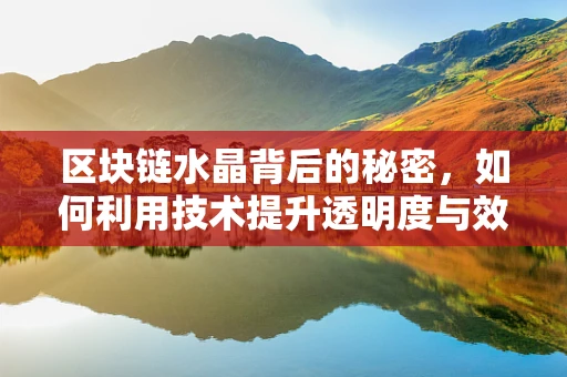 区块链水晶背后的秘密，如何利用技术提升透明度与效率？