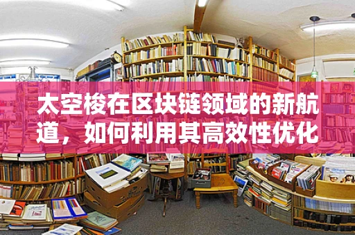 太空梭在区块链领域的新航道，如何利用其高效性优化分布式账本？