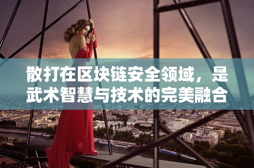 散打在区块链安全领域，是武术智慧与技术的完美融合吗？