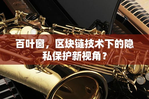 百叶窗，区块链技术下的隐私保护新视角？