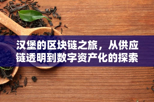 汉堡的区块链之旅，从供应链透明到数字资产化的探索
