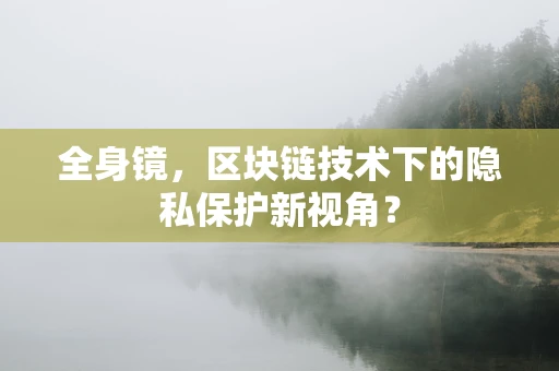 全身镜，区块链技术下的隐私保护新视角？