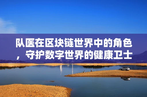 队医在区块链世界中的角色，守护数字世界的健康卫士？